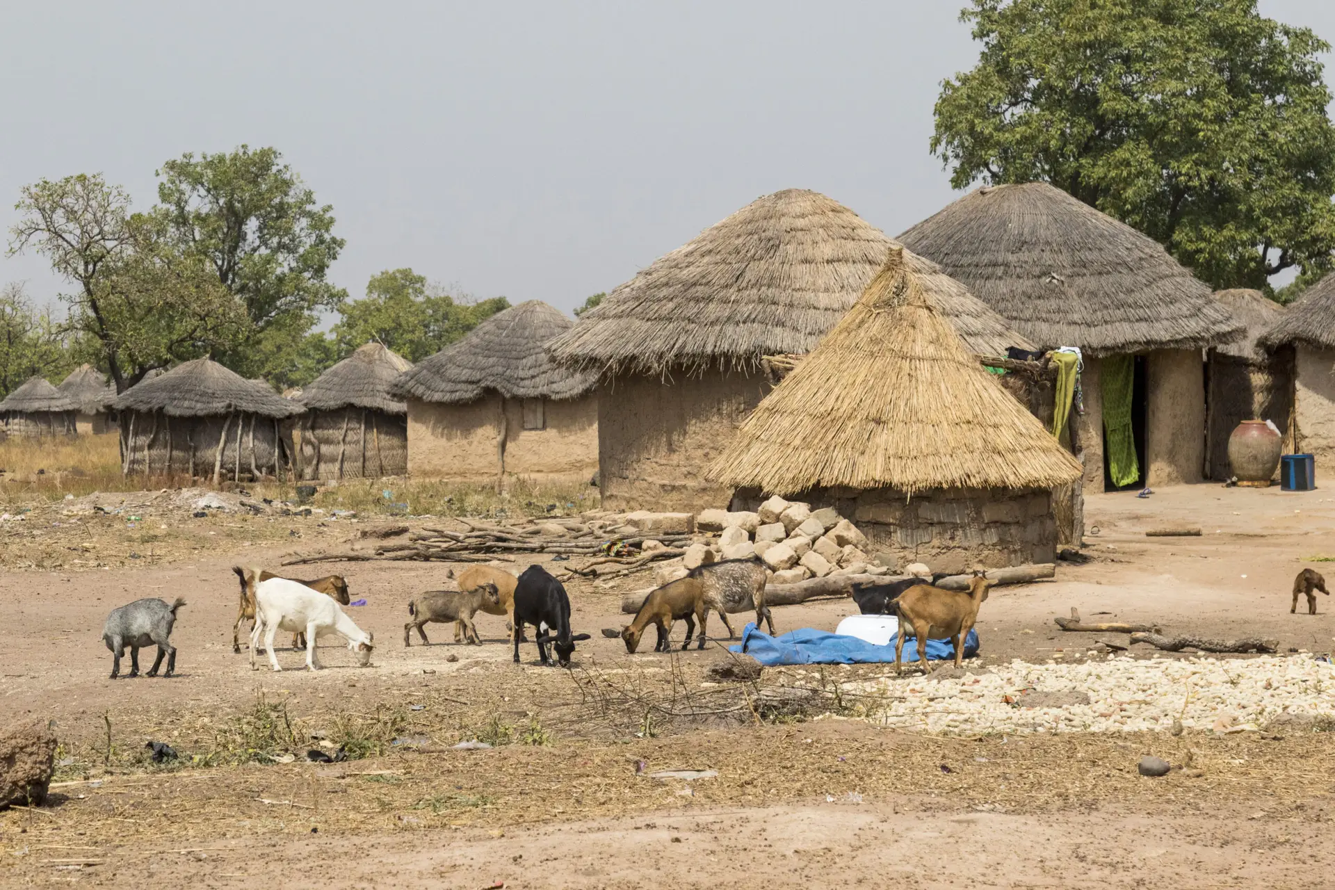 Rural African village community landscape